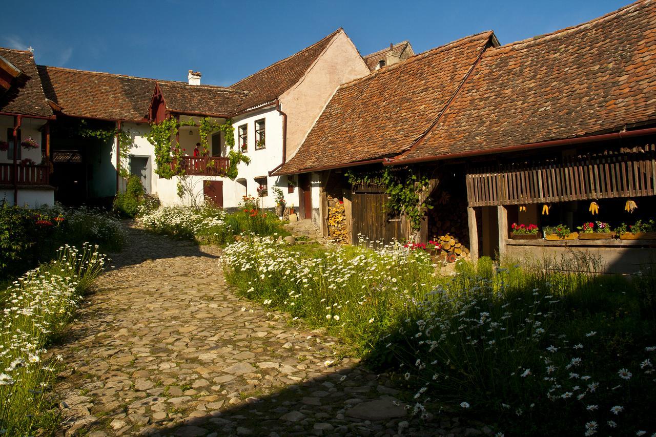 Casa Cu Zorele, Crit 189 Kültér fotó