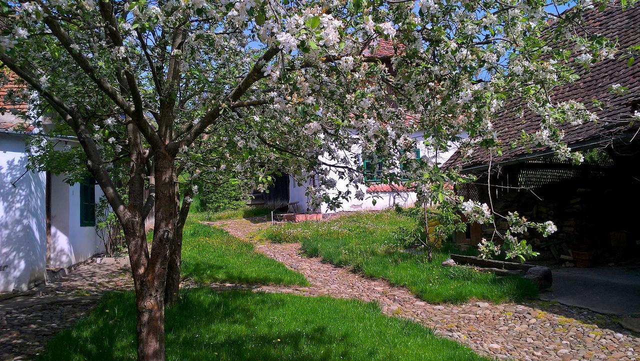 Casa Cu Zorele, Crit 189 Kültér fotó